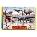 Painless Learning Dinosaurs Placemat 4PK DIN1